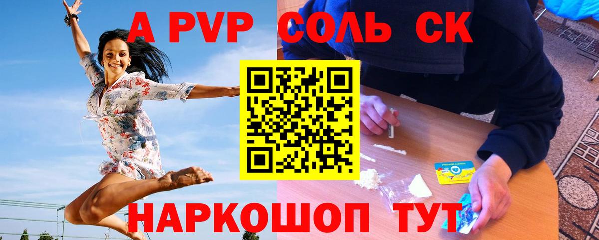 Альфа ПВП СК Великий Новгород