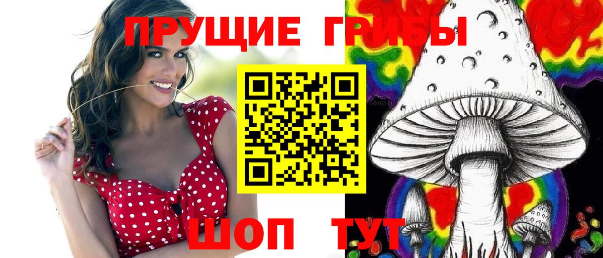 Псилоцибиновые грибы Psilocybe Великий Новгород